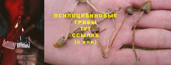 спайс Волоколамск