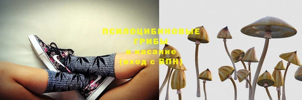 марихуана Володарск