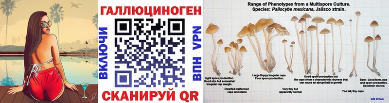 Купить  Лобня  Псилоцибиновые грибы ЛСД 